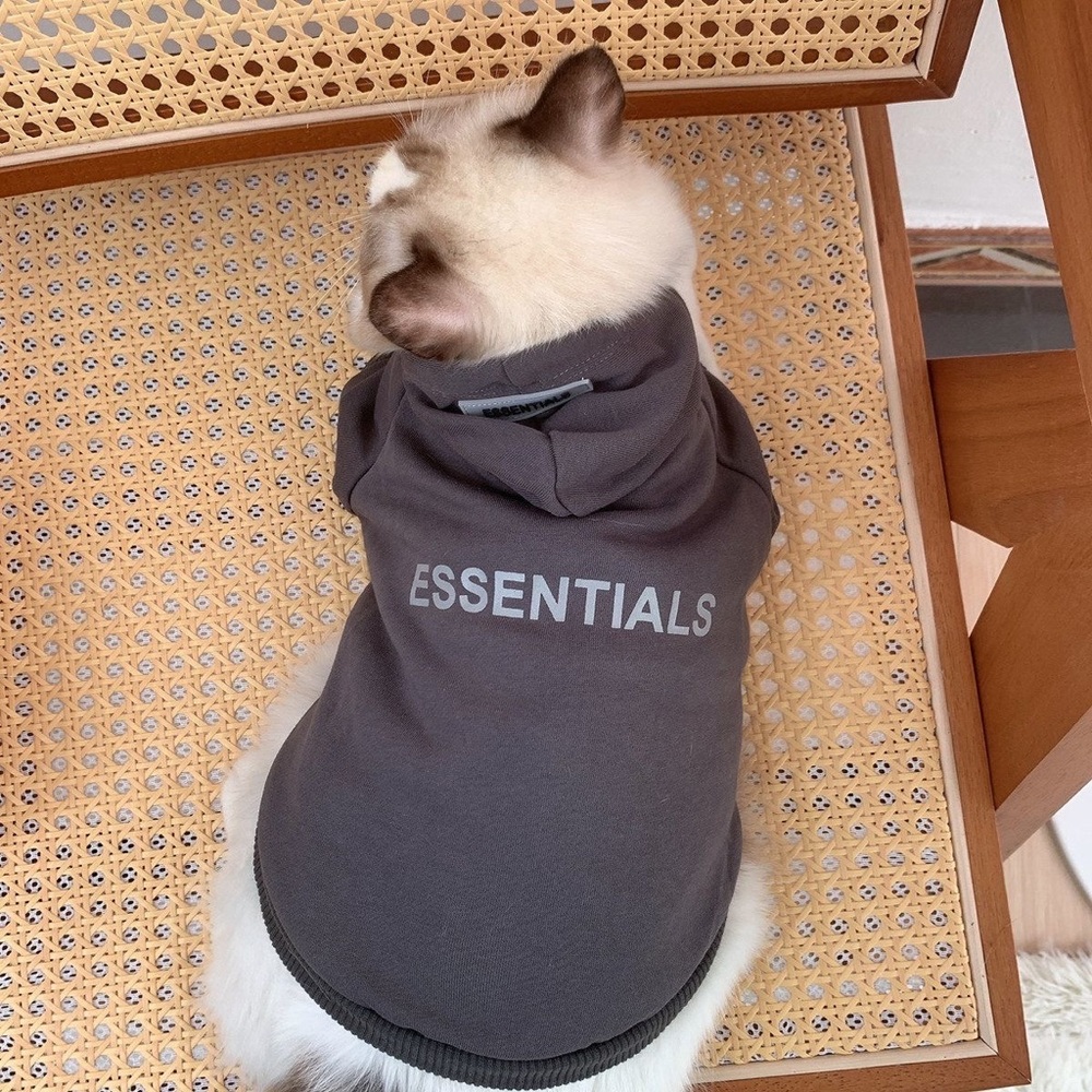FOG Essentials hoodie cat god cloth